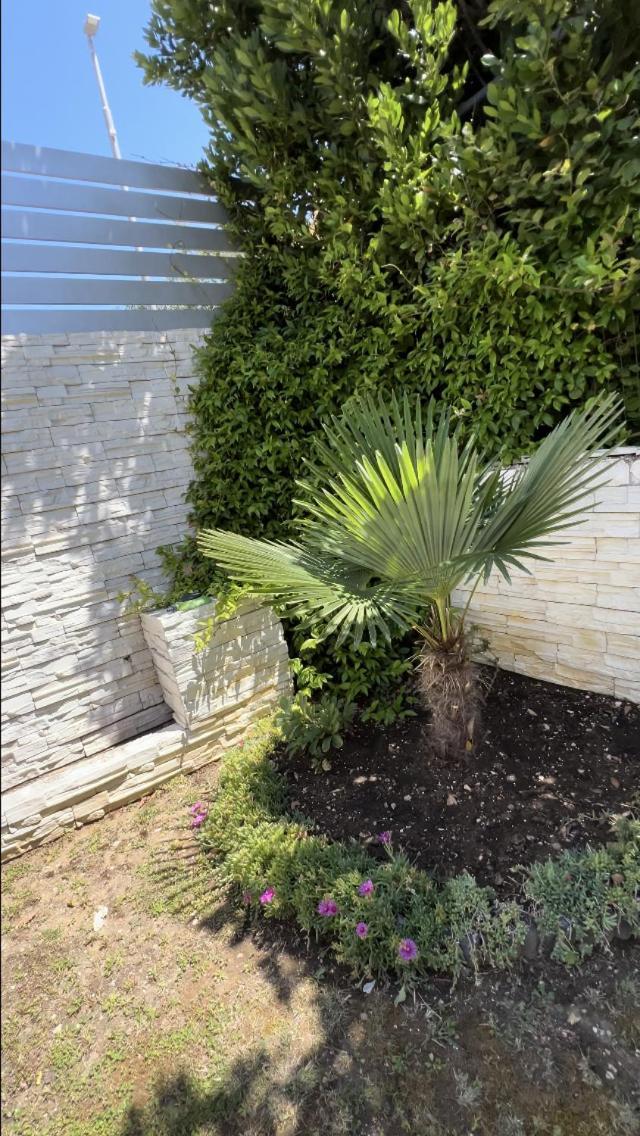 Mandy Apartman Baška Dış mekan fotoğraf